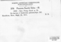 Puccinia xanthii image